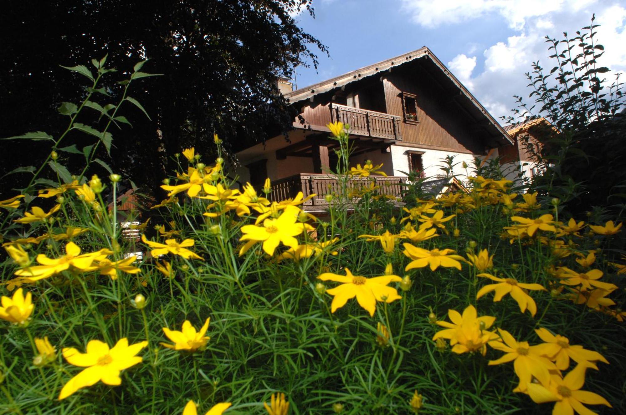 Residence Lastè Moena Esterno foto